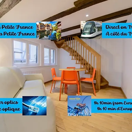 아파트 Cosy & Quiet Flat In Historical Lively Center Of